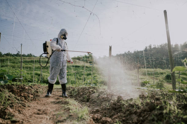 Best Mosquito Control Services  in Carolina Shores, NC