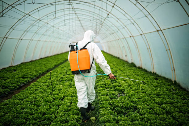 Best Affordable Pest Control Services  in Carolina Shores, NC