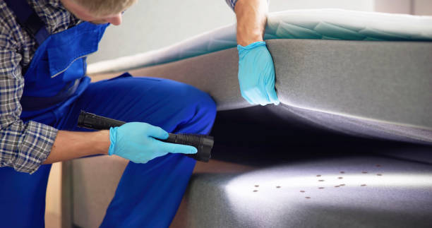 Pest Control for Restaurants in Carolina Shores, NC