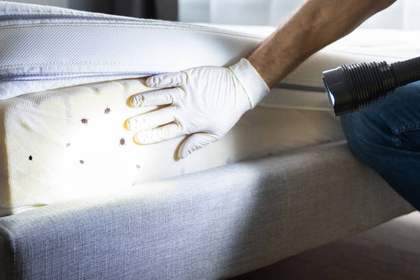 Best Best Pest Control Companies  in Carolina Shores, NC